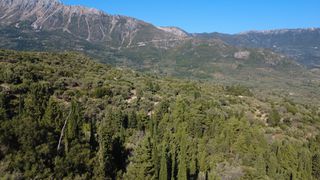 Αγροτεμάχια 4.350 τ.μ. για πώληση, Ν. Λευκάδας, Λευκάδα-thumb-8