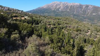 Αγροτεμάχια 4.350 τ.μ. για πώληση, Ν. Λευκάδας, Λευκάδα-thumb-9