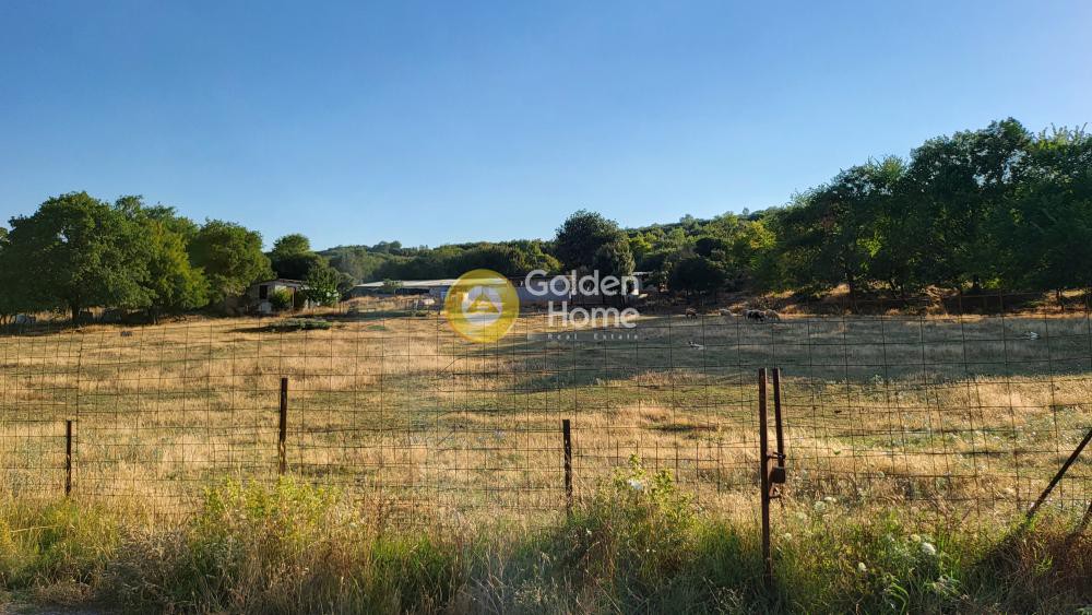 Αγροτεμάχια 7.000 τ.μ. προς πώληση, Ασβεστοχώρι Χορτιάτη