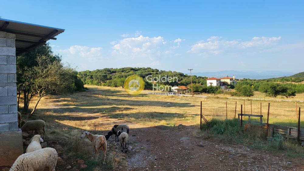 Αγροτεμάχια 7.000 τ.μ. προς πώληση, Ασβεστοχώρι Χορτιάτη