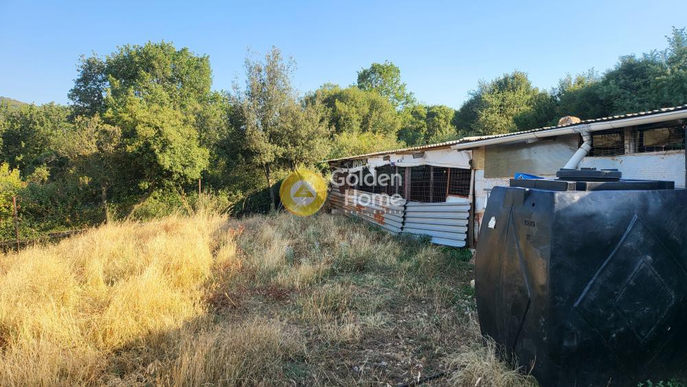Αγροτεμάχια 7.000 τ.μ. προς πώληση, Ασβεστοχώρι Χορτιάτη