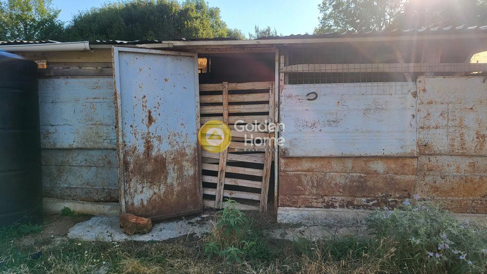 Αγροτεμάχια 7.000 τ.μ. προς πώληση, Ασβεστοχώρι Χορτιάτη