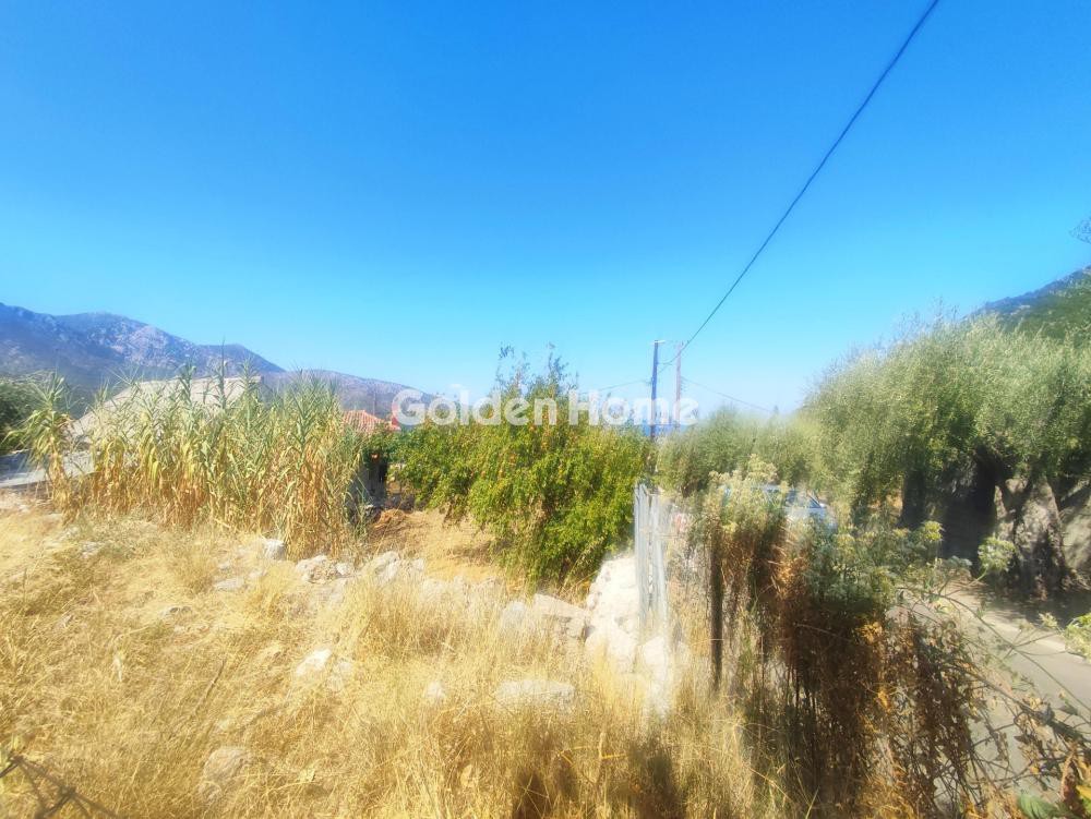 Οικόπεδο 204 τ.μ. πρός πώληση, Εύβοια, Κονίστρες