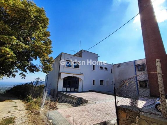 Industrial space 8.890 sqm for sale, Pella, Edessa