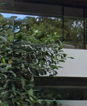 Μονοκατοικία 460τ.μ. για ενοικίαση-Βάρη- βάρκιζα » Ασύρματος αλίανθου