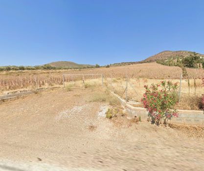 Αγροτεμάχια 11.000 τ.μ. προς πώληση