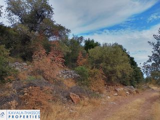 Αγροτεμάχια 4.200 τ.μ. για πώληση