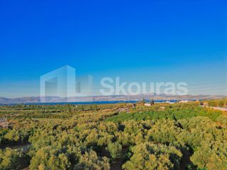 Αγροτεμάχια 2.048 τ.μ. για πώληση, Αργολίδα, Λέρνα-thumb-20