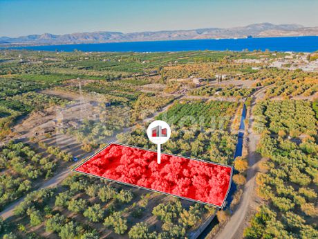 Αγροτεμάχια 2.048τ.μ. για πώληση-Λέρνα