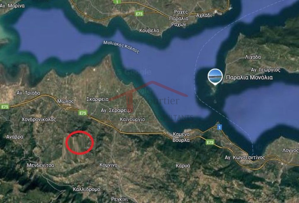 Οικόπεδο 8.000 τ.μ. πρός πώληση, Φθιώτιδας, Μώλος