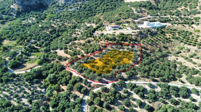 Οικόπεδο 4.614 τ.μ. πρός πώληση, Ν. Ρεθύμνου, Φοινίκας