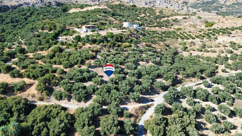 Οικόπεδο 4.614 τ.μ. πρός πώληση, Ν. Ρεθύμνου, Φοινίκας