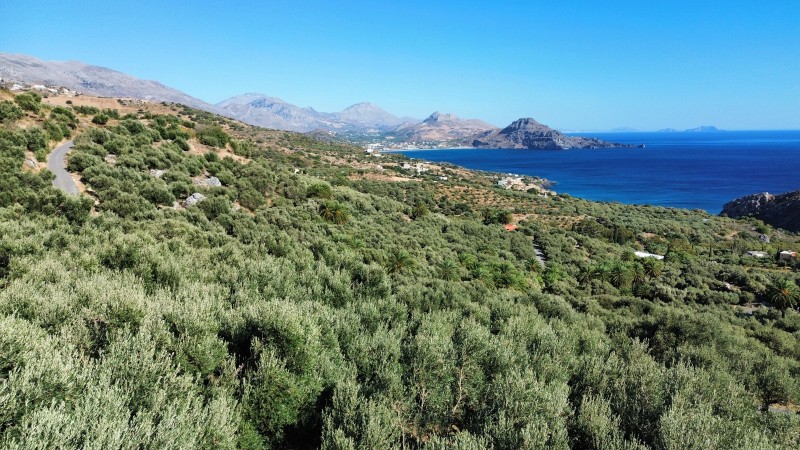 Οικόπεδο 4.614 τ.μ. πρός πώληση, Ν. Ρεθύμνου, Φοινίκας