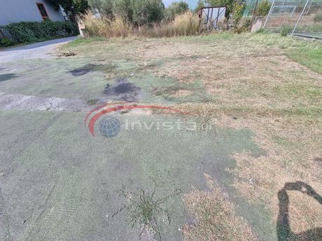 Αγροτεμάχια 900τ.μ. για ενοικίαση-Πυλαία » Πυλαιώτικα