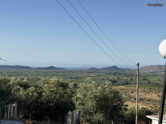 Οικόπεδο 3.828 τ.μ. για πώληση, Θεσπρωτία, Σαγιάδα