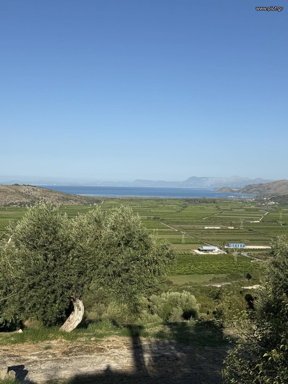 Οικόπεδο 3.828 τ.μ. προς πώληση, Σμέρτος