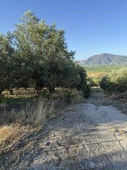 Οικόπεδο 3.828 τ.μ. για πώληση, Θεσπρωτία, Σαγιάδα-thumb-5
