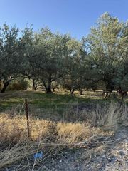 Οικόπεδο 3.828 τ.μ. για πώληση, Θεσπρωτία, Σαγιάδα-thumb-6