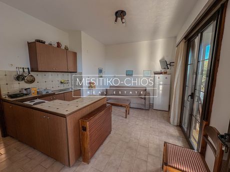 Apartment 45sqm for rent-Chios » Agios Minas