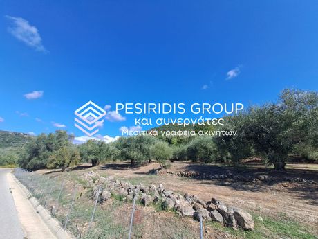 Αγροτεμάχια 4.500τ.μ. για πώληση-Πέρδικα » Καραβοστάσι