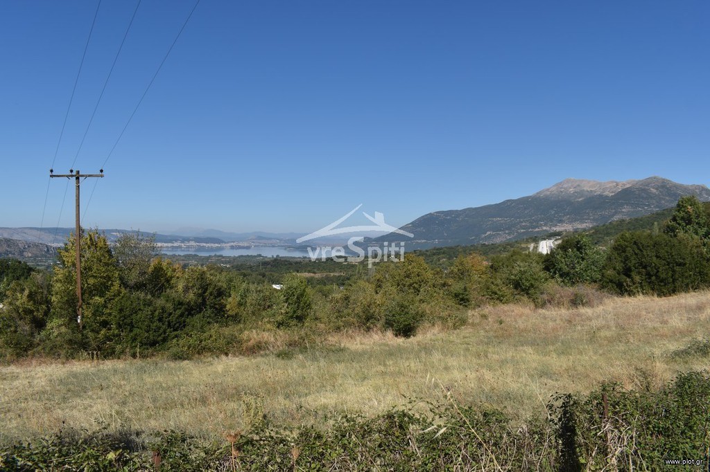 Αγροτεμάχια 4.800 τ.μ. προς πώληση, Δροσοχώρι Παμβωτίδας
