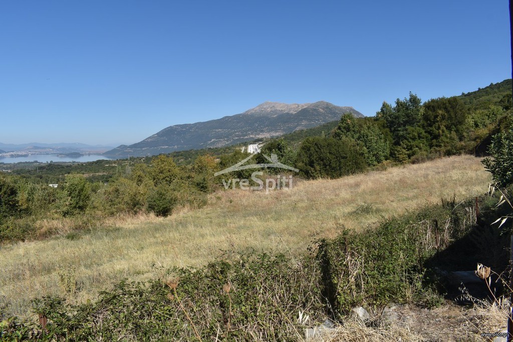 Αγροτεμάχια 4.800 τ.μ. προς πώληση, Δροσοχώρι Παμβωτίδας