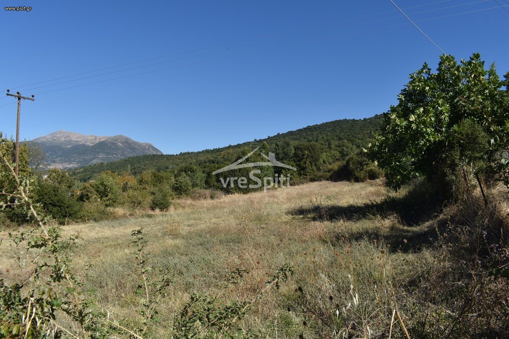 Αγροτεμάχια 4.800 τ.μ. προς πώληση, Δροσοχώρι Παμβωτίδας