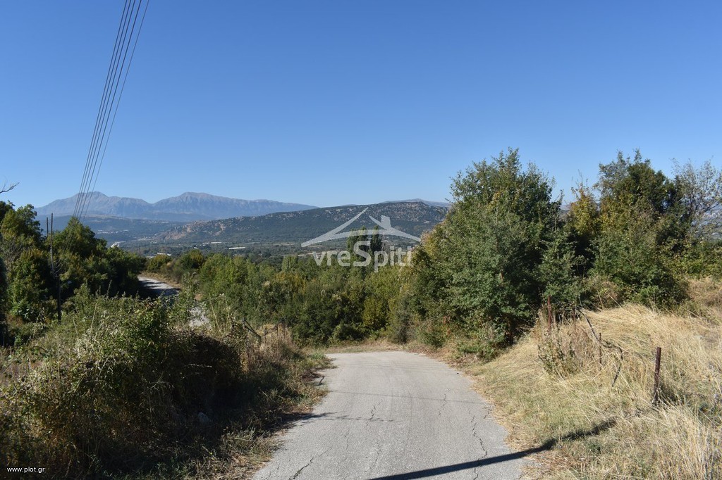 Αγροτεμάχια 4.800 τ.μ. προς πώληση, Δροσοχώρι Παμβωτίδας