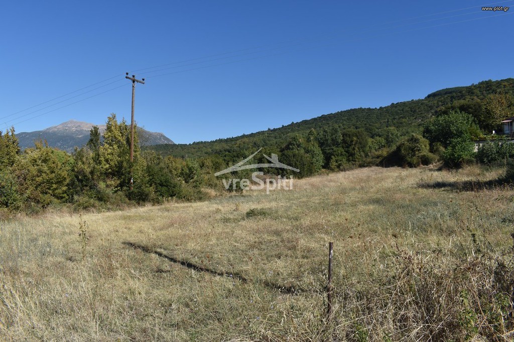 Αγροτεμάχια 4.800 τ.μ. προς πώληση, Δροσοχώρι Παμβωτίδας