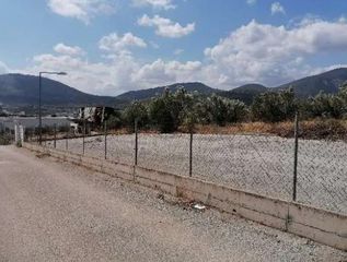 Αγροτεμάχια 11.858 τ.μ. για πώληση