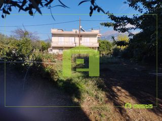 Οικόπεδο 650 τ.μ. για πώληση, Αχαΐα, Παραλία-thumb-22