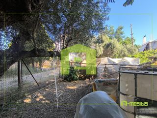 Οικόπεδο 650 τ.μ. για πώληση, Αχαΐα, Παραλία-thumb-13