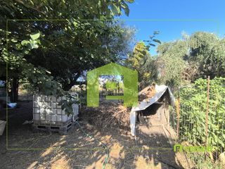 Οικόπεδο 650 τ.μ. για πώληση, Αχαΐα, Παραλία-thumb-11