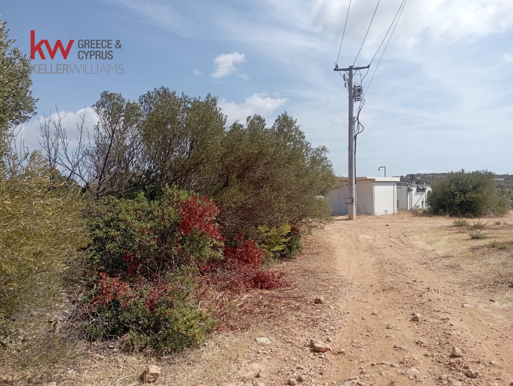 Parcel 4.500 sqm for rent, Rest Of Attica, Markopoulo