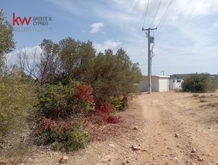 Αγροτεμάχια 4.500 τ.μ. προς ενοικίαση, Αττική - Υπόλοιπο, Μαρκόπουλο-thumb-3