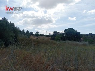 Αγροτεμάχια 4.500 τ.μ. προς ενοικίαση, Αττική - Υπόλοιπο, Μαρκόπουλο-thumb-12