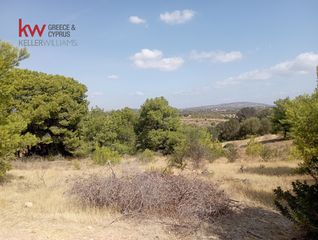 Αγροτεμάχια 4.500 τ.μ. προς ενοικίαση, Αττική - Υπόλοιπο, Μαρκόπουλο-thumb-9