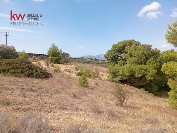 Αγροτεμάχια 4.500 τ.μ. προς ενοικίαση, Αττική - Υπόλοιπο, Μαρκόπουλο