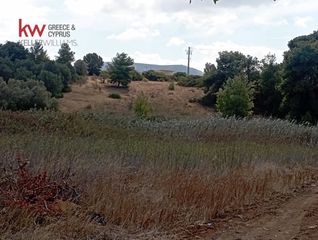 Αγροτεμάχια 4.500 τ.μ. προς ενοικίαση, Αττική - Υπόλοιπο, Μαρκόπουλο-thumb-13
