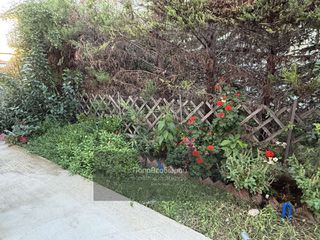 Διαμέρισμα 62 τ.μ. για ενοικίαση, Αχαΐα, Ρίο-thumb-22