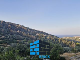 Διαμέρισμα 78 τ.μ. για πώληση, Κυκλάδες, Άνδρος-thumb-2