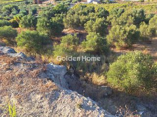 Οικόπεδο 3.462 τ.μ. για πώληση