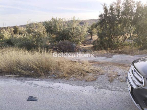 Αγροτεμάχια 4.316 τ.μ. για πώληση, Αττική - Υπόλοιπο, Μάνδρα