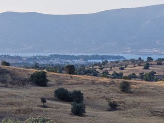 Αγροτεμάχια 12.000 τ.μ. για πώληση