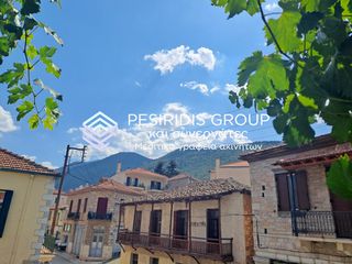 Μονοκατοικία 521 τ.μ. για πώληση, Αρκαδία, Λεβίδι-thumb-21