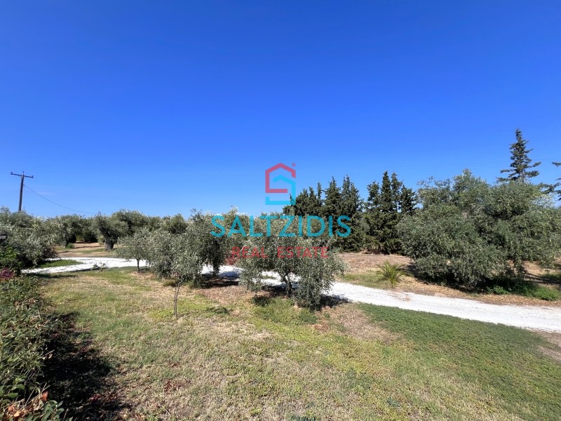 Βίλλα 120 τ.μ. πρός πώληση, Ν. Καβάλας, Θάσος