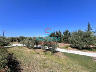 Βίλλα 120 τ.μ. πρός πώληση, Ν. Καβάλας, Θάσος-thumb-4