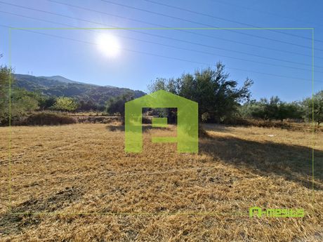 Οικόπεδο 2.544,04τ.μ. για πώληση-Μεσσατίδα » Άνω καλλιθέα