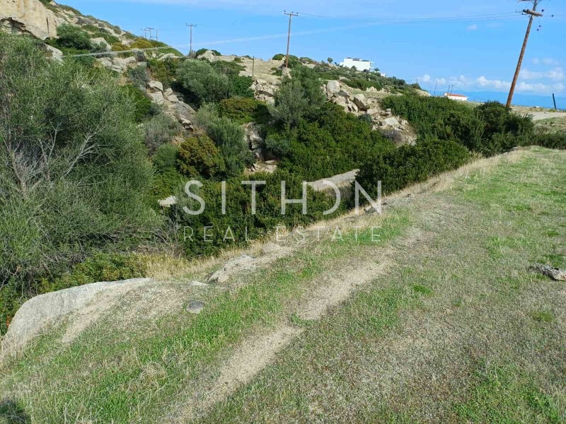 Οικόπεδο 500 τ.μ. πρός πώληση, Χαλκιδική, Τορώνη