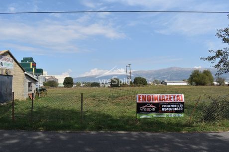 Other 5.600sqm for rent-Ioannina